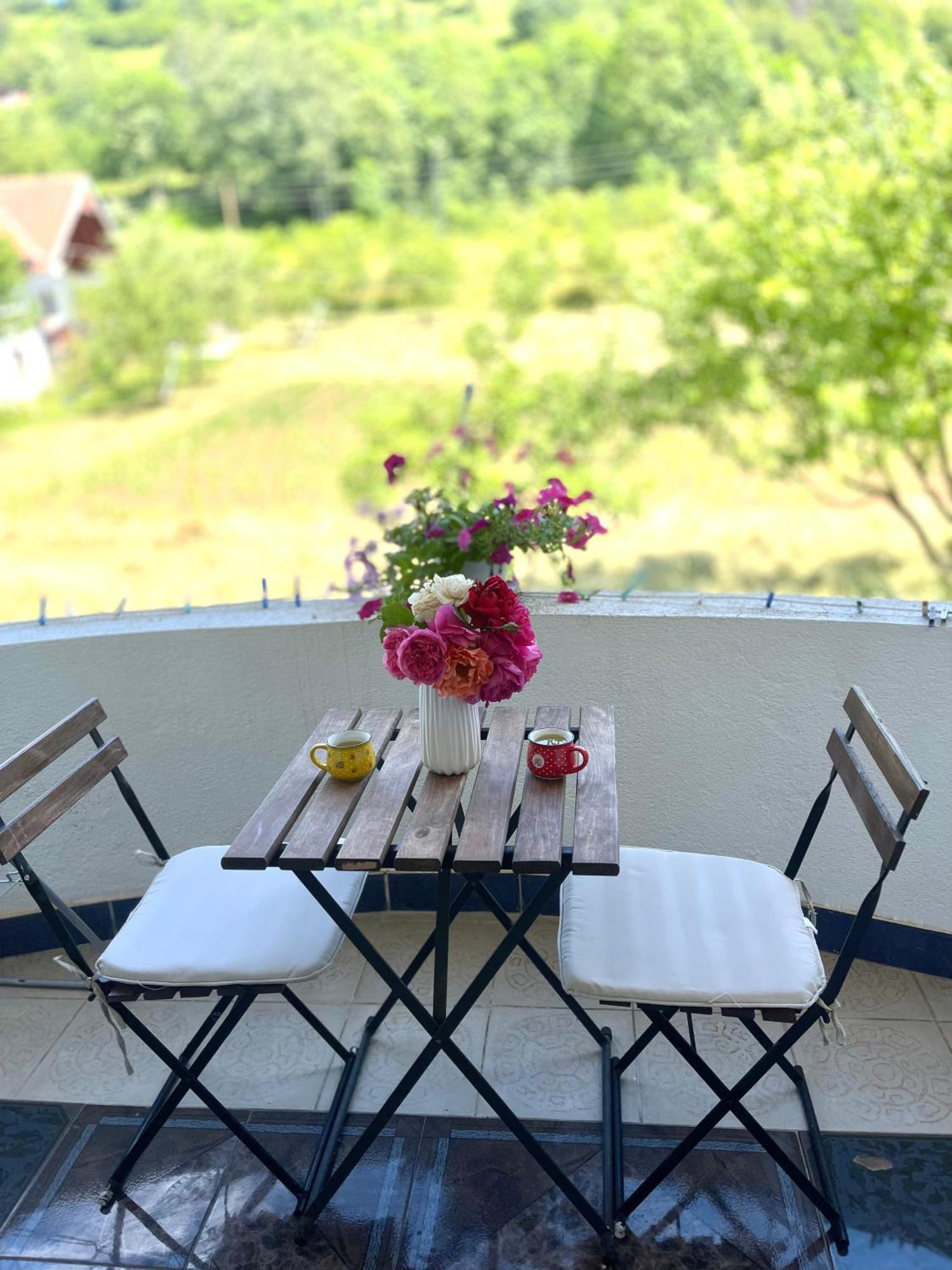Bed and Breakfast Visitor Yard Plav Esterno foto